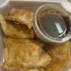 Best Fried Dumplings in Lakewood, OH